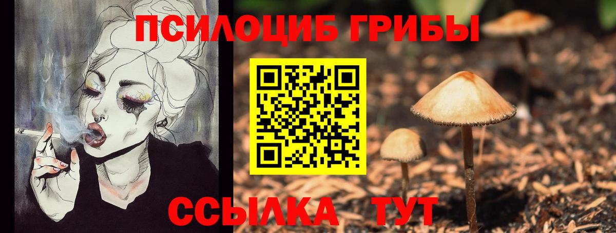 Псилоцибиновые грибы Magic Shrooms  Галлюциногенные грибы мицелий  Усолье-Сибирское  Вход с VPN 